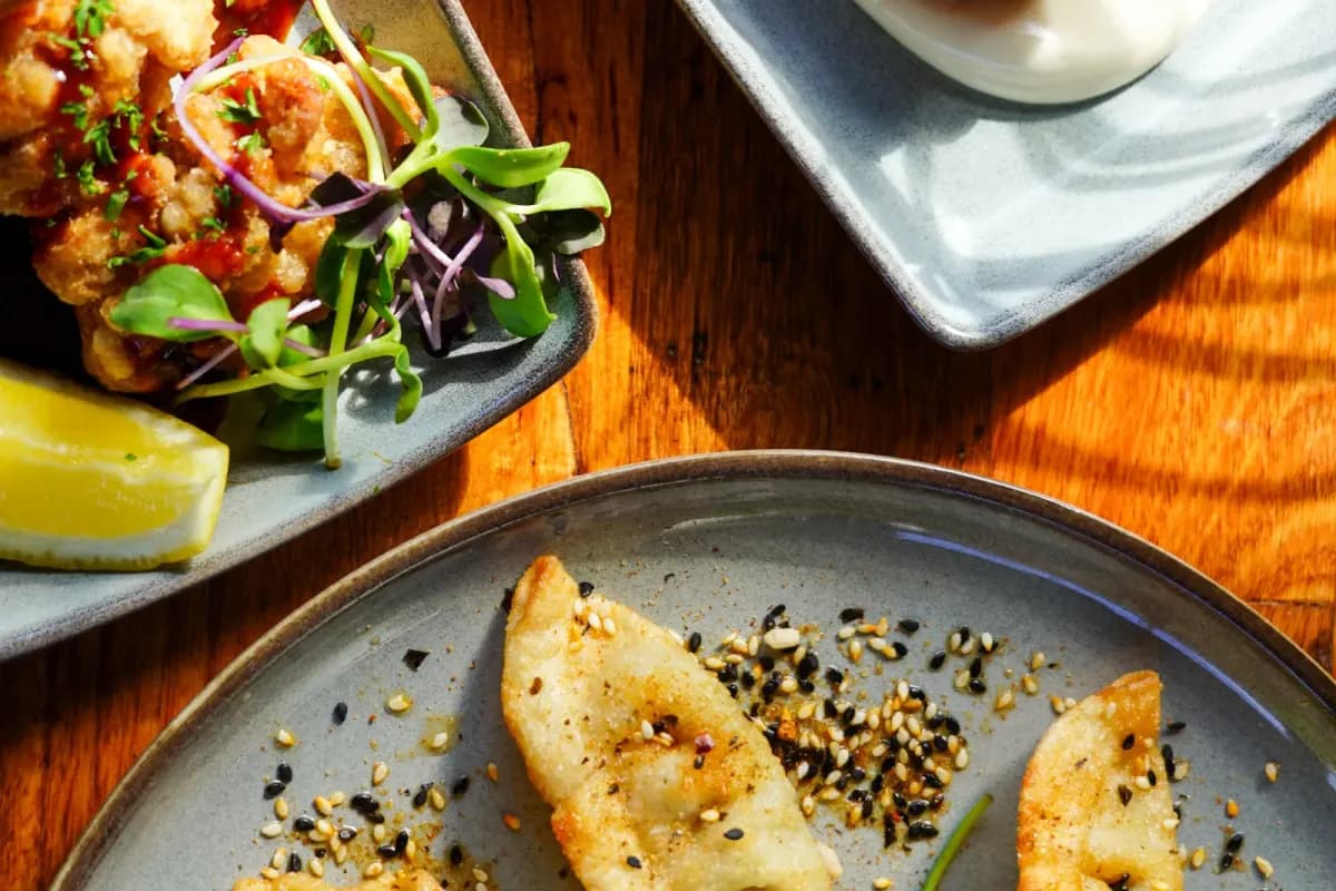 A share platter of crumbed arancini, karaage chicken and gyoza